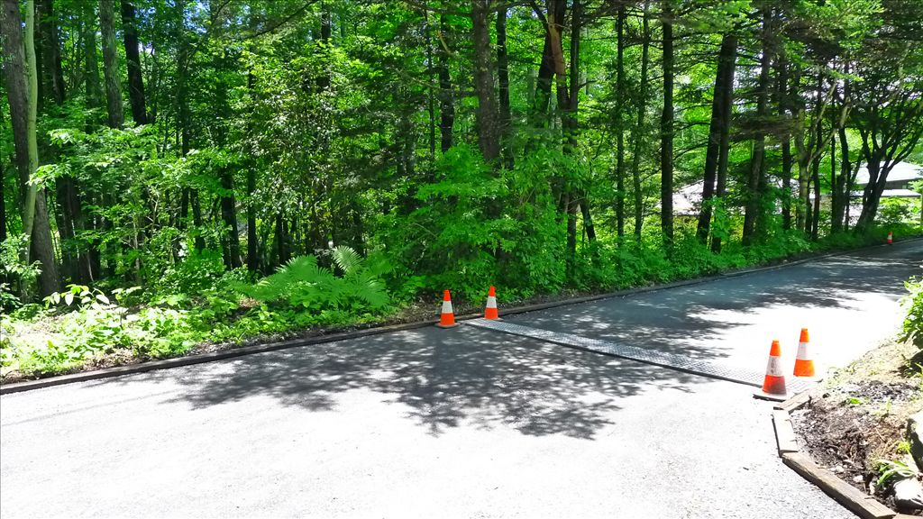 3,010 sqm Land for Sale in Karuizawa's Oiwake Asamayama Area - Thumbnail 3
