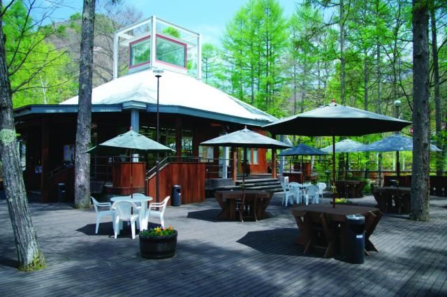 Land for Sale in Tokyu Resort Town Tateshina Kobushi-dai, Nagano - Thumbnail 4