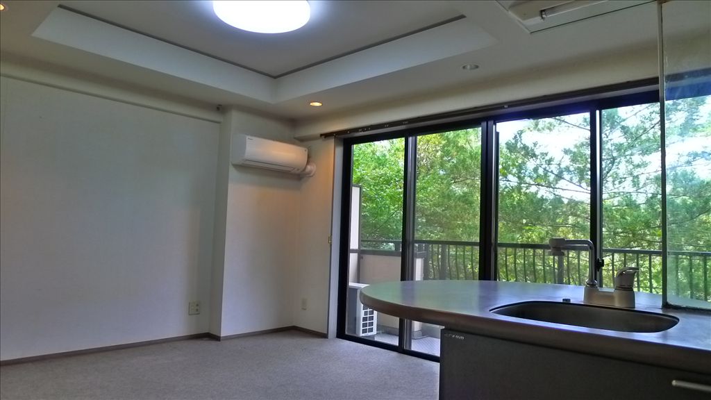 Riveline Karuizawa A Wing 2LDK Condo for Sale - Thumbnail 3