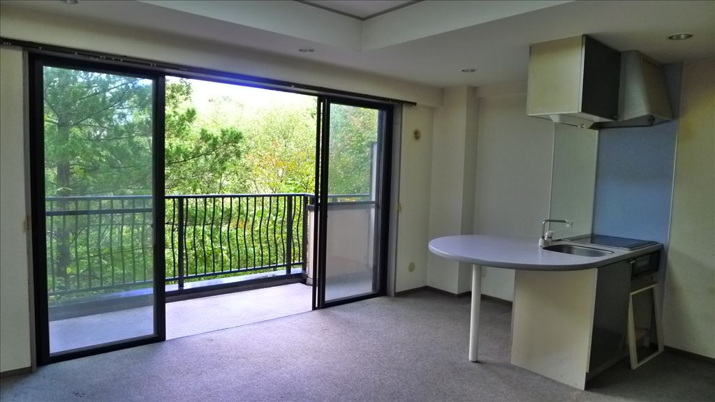 Riveline Karuizawa A Wing 2LDK Condo for Sale - Thumbnail 4
