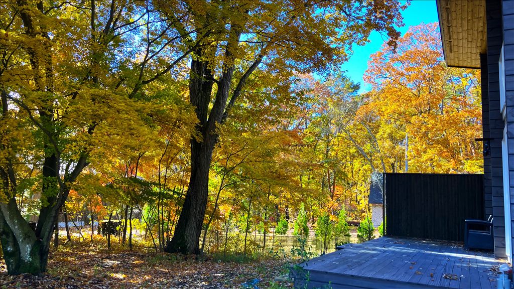 New 2024 Modern Log House in Karuizawa Keimei Resort - Thumbnail 4