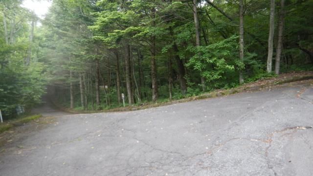 Land for Sale in Karuizawa Sen-ga-taki Villa District East Area - Thumbnail 4