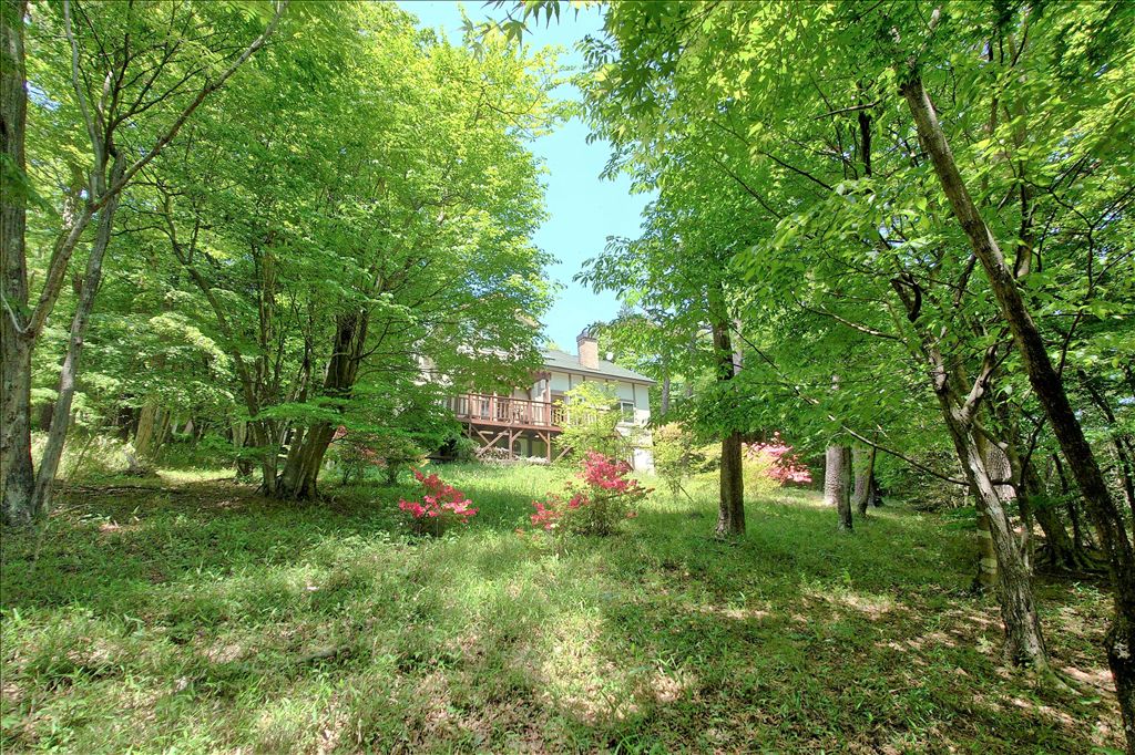 4LDK Wooden Villa with Hot Spring Potential in Nasu Highlands - Thumbnail 3