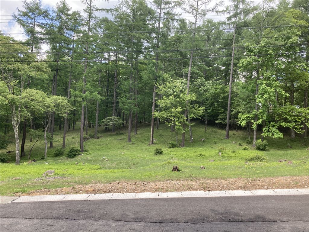 17,865m² Land for Sale in Tateshina Highlands, Nagano - Thumbnail 3