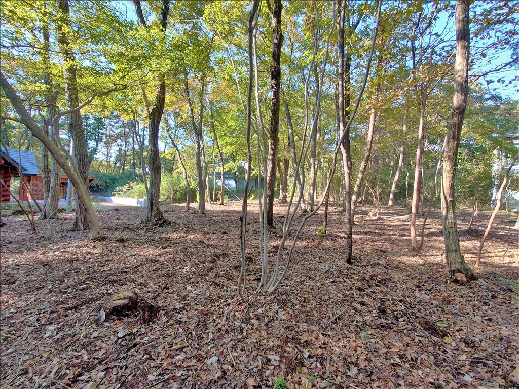 Royal Valley East Vacant Land for Sale in Nasu, Tochigi - Thumbnail 4