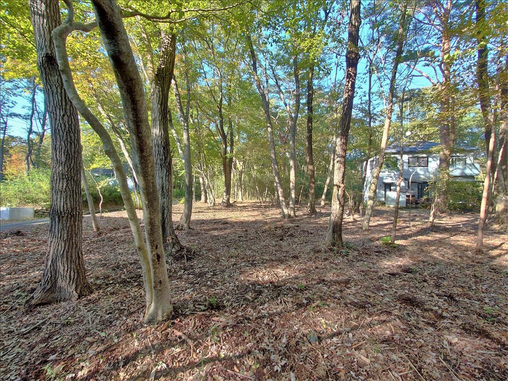 Royal Valley East Vacant Land for Sale in Nasu, Tochigi - Thumbnail 2