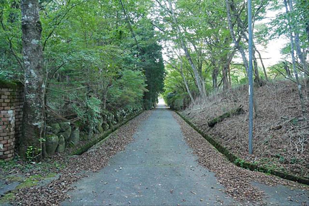 Hakone Haruyamaso Land for Sale - 6,372 sqm Resort Parcel - Thumbnail 3