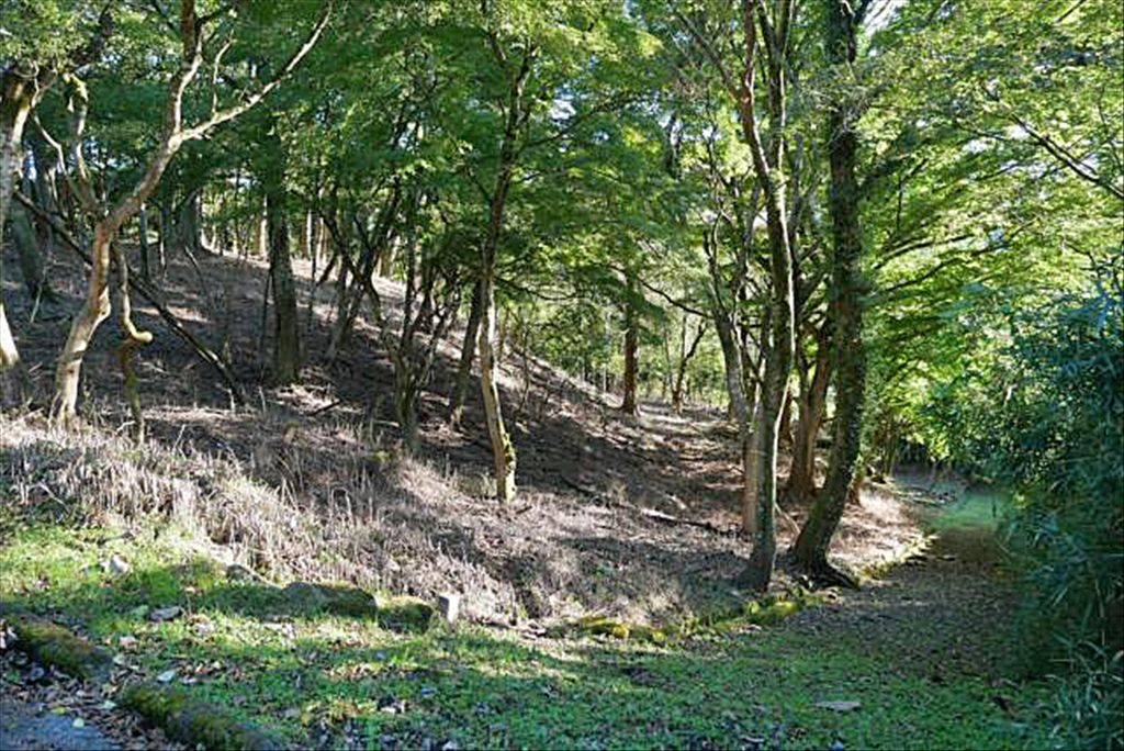 Hakone Haruyamaso Land for Sale - 6,372 sqm Resort Parcel - Thumbnail 2