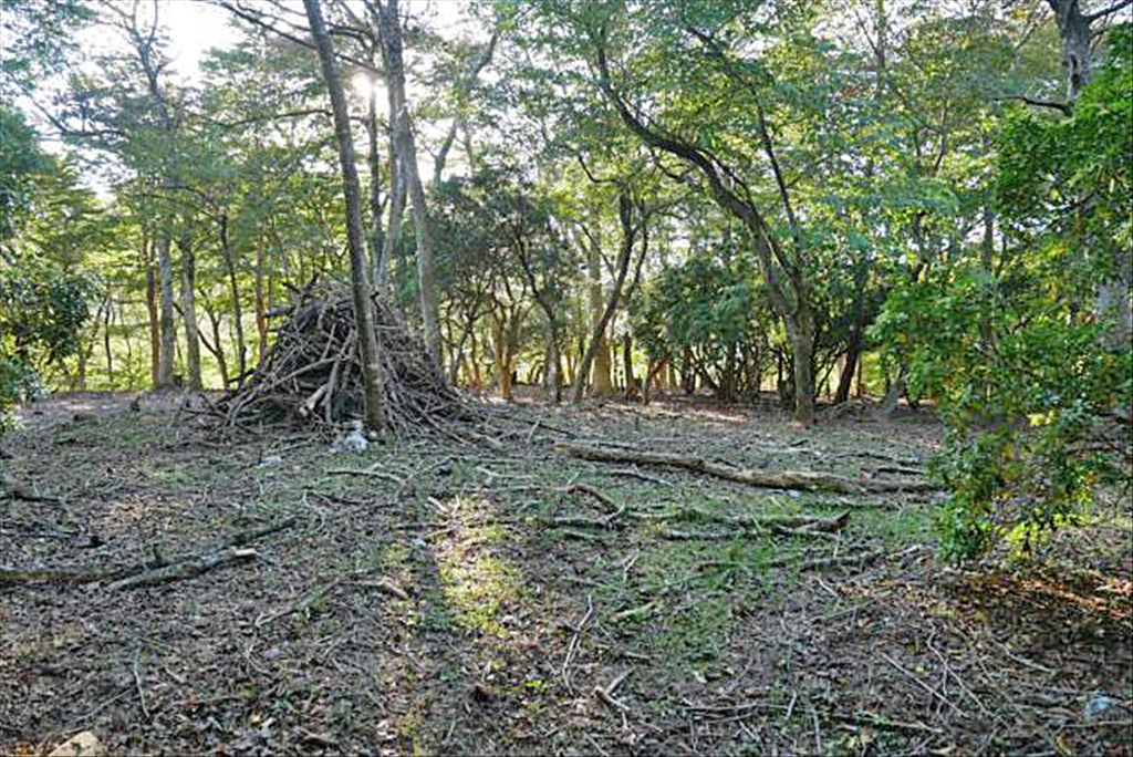 Hakone Haruyamaso Land for Sale - 6,372 sqm Resort Parcel - Thumbnail 4