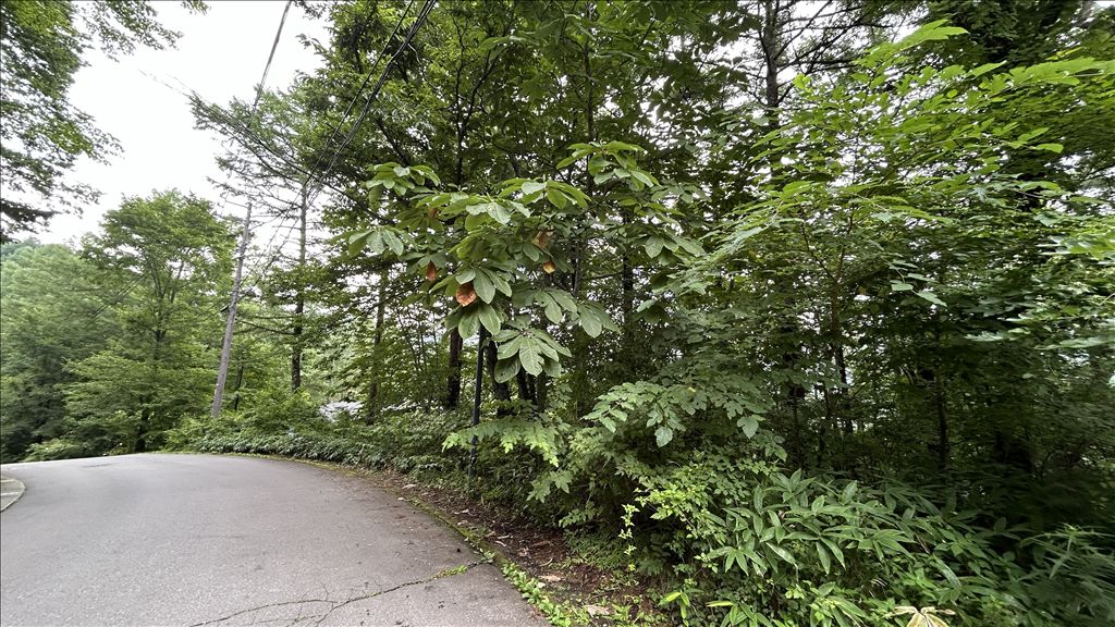 Land for Sale in Kyu-Karuizawa Club, Karuizawa - 1,311m² - Thumbnail 4