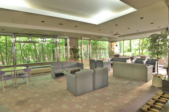 Pet-Friendly 2LDK Condo in Yamanakako with Pool & Sauna - Thumbnail 3