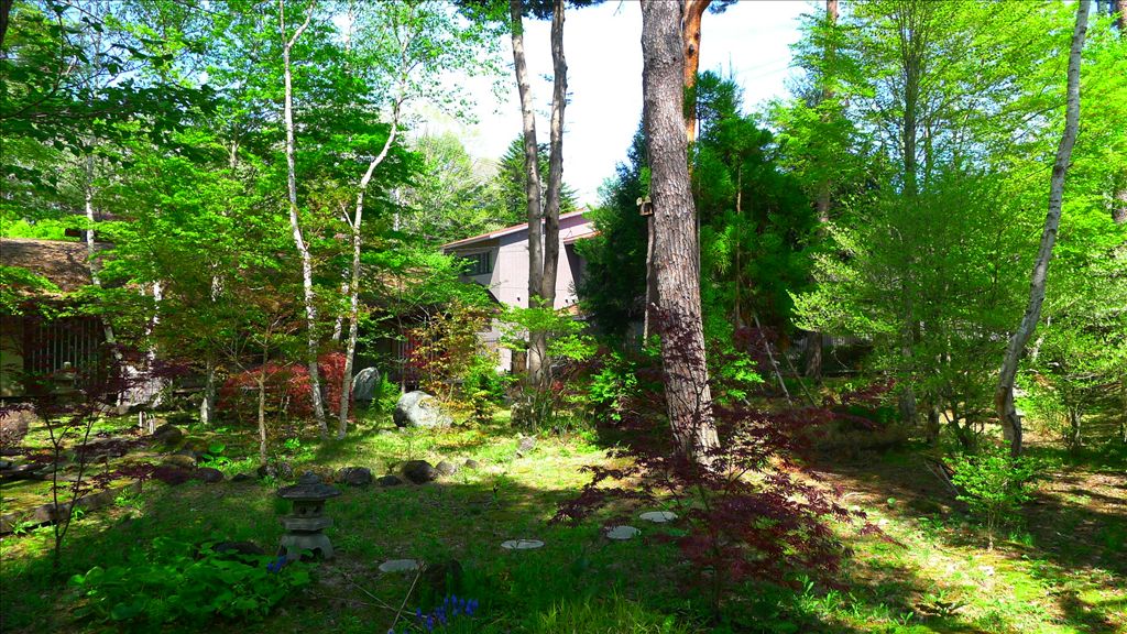 Large 404 Tsubo Land Parcel in Karuizawa's Shirakaba-dai Area - Thumbnail 2