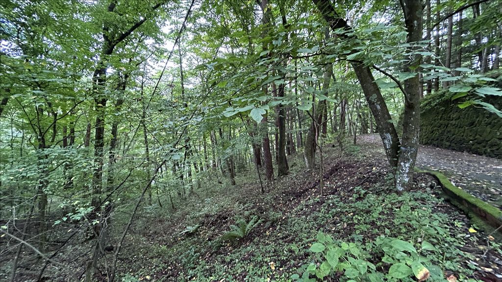 2,082 sqm Land for Sale in Historic Old Karuizawa, Nagano - Thumbnail 2