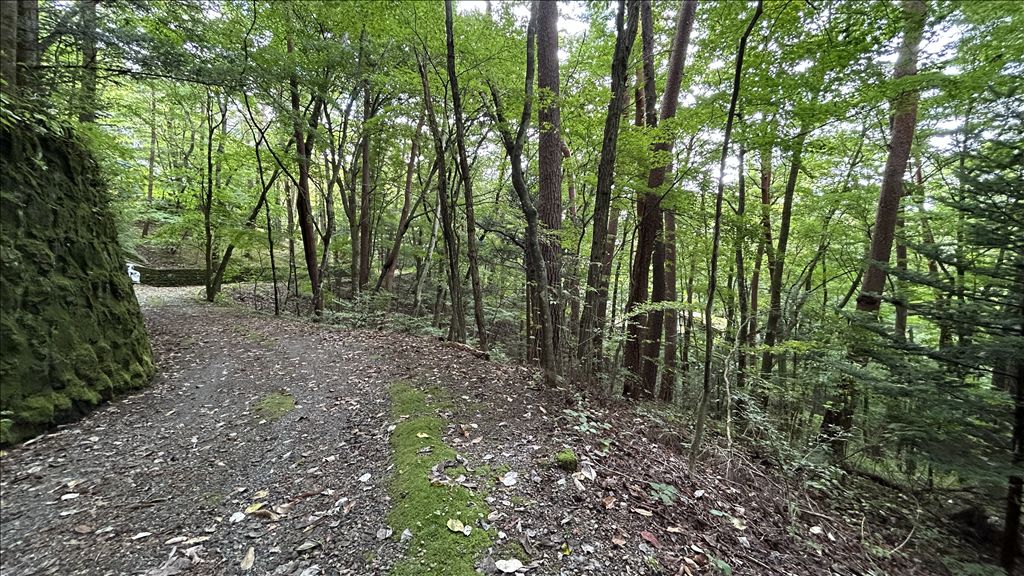 2,082 sqm Land for Sale in Historic Old Karuizawa, Nagano - Thumbnail 3