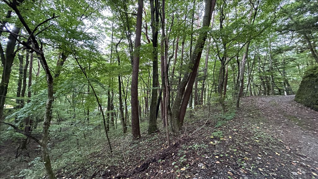 2,082 sqm Land for Sale in Historic Old Karuizawa, Nagano - Thumbnail 4