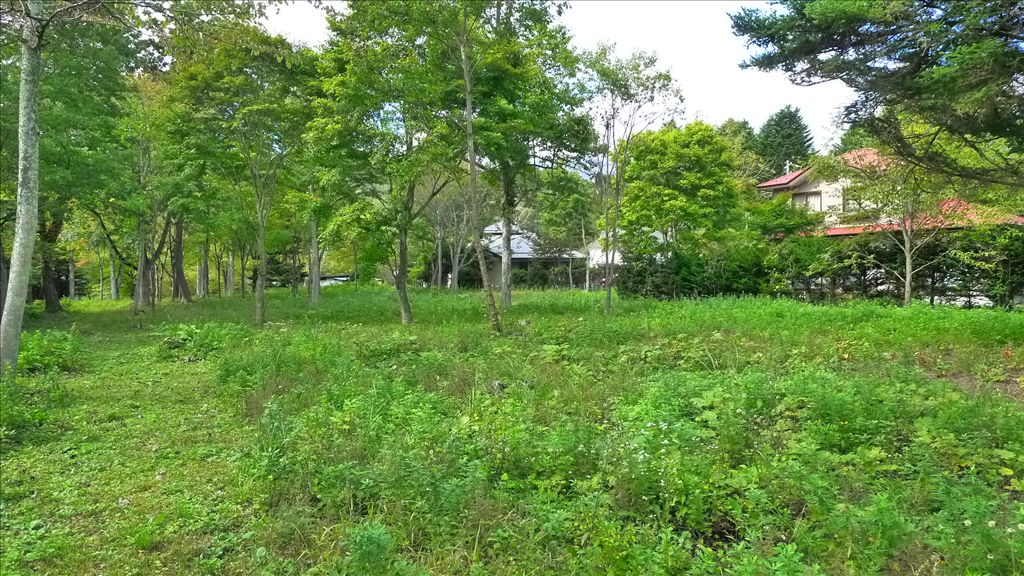Large Flat Residential Land for Sale in Nakakaruizawa, Karuizawa - Thumbnail 3