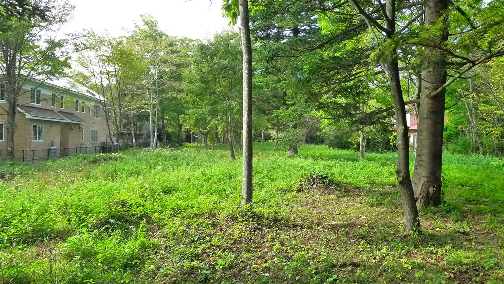Large Flat Residential Land for Sale in Nakakaruizawa, Karuizawa - Thumbnail 4