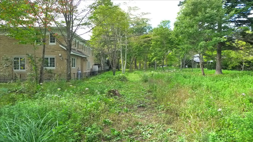 2,601 sqm Residential Land for Sale in Nakakaruizawa, Karuizawa - Thumbnail 3