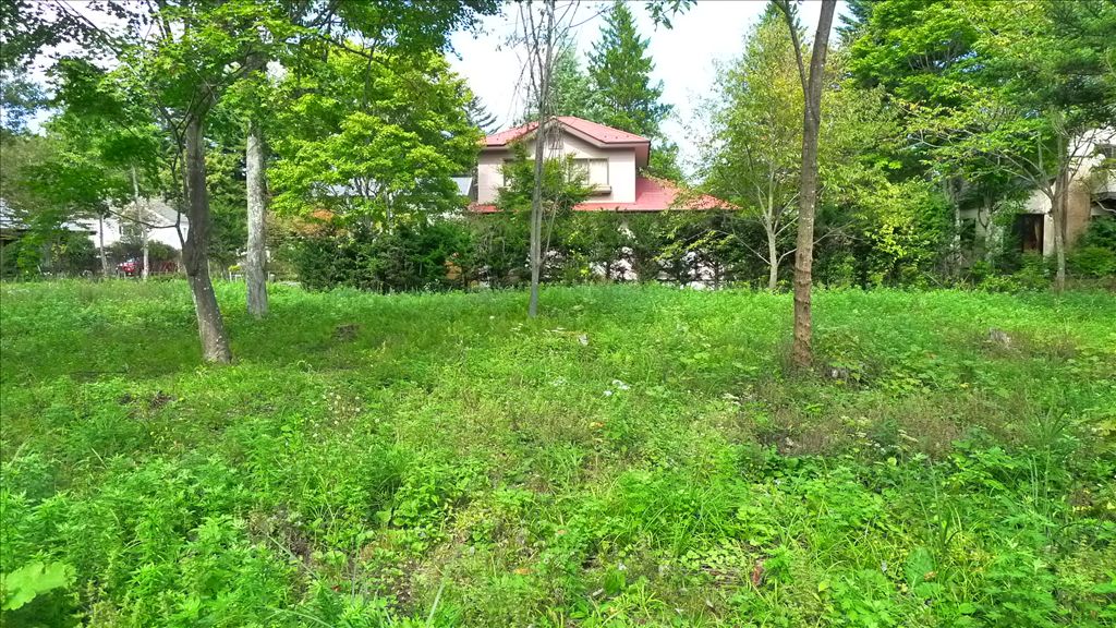 2,601 sqm Residential Land for Sale in Nakakaruizawa, Karuizawa - Thumbnail 4