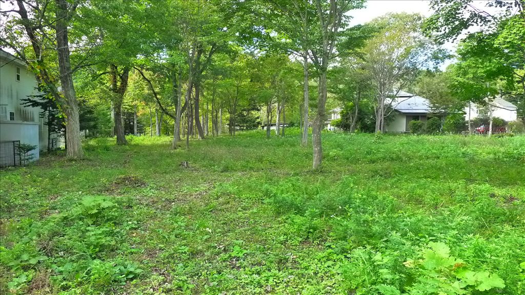 2,601 sqm Residential Land for Sale in Nakakaruizawa, Karuizawa - Thumbnail 2