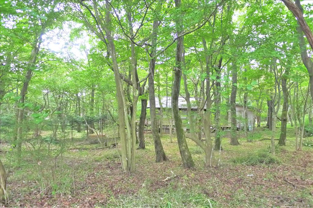 Primula Nasu Land for Sale - 717 sqm Plot with Stream Access - Thumbnail 3