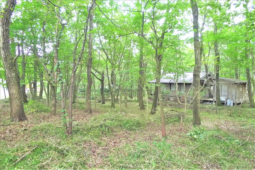 Primula Nasu Land for Sale - 717 sqm Plot with Stream Access - Thumbnail 2