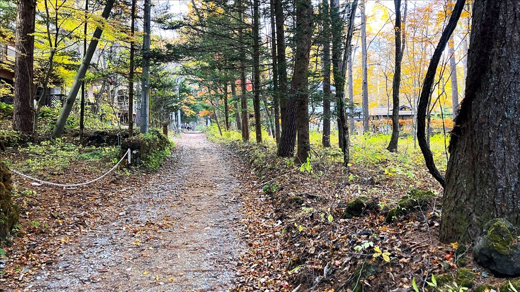 885 Tsubo Land for Sale in Old Mikasa, Karuizawa - Thumbnail 3