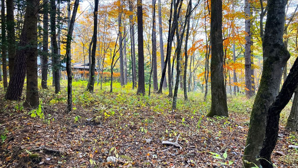 885 Tsubo Land for Sale in Old Mikasa, Karuizawa - Image 1