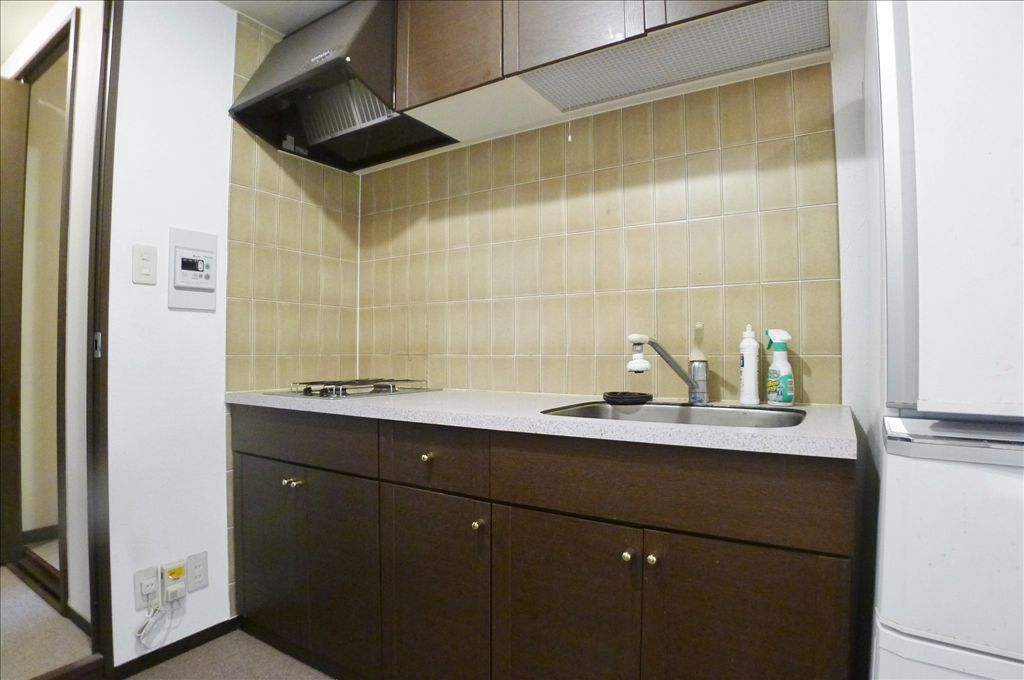 Famille Villa Yamanakako Nibankan 1LDK Condo with Sauna Bath - Thumbnail 4