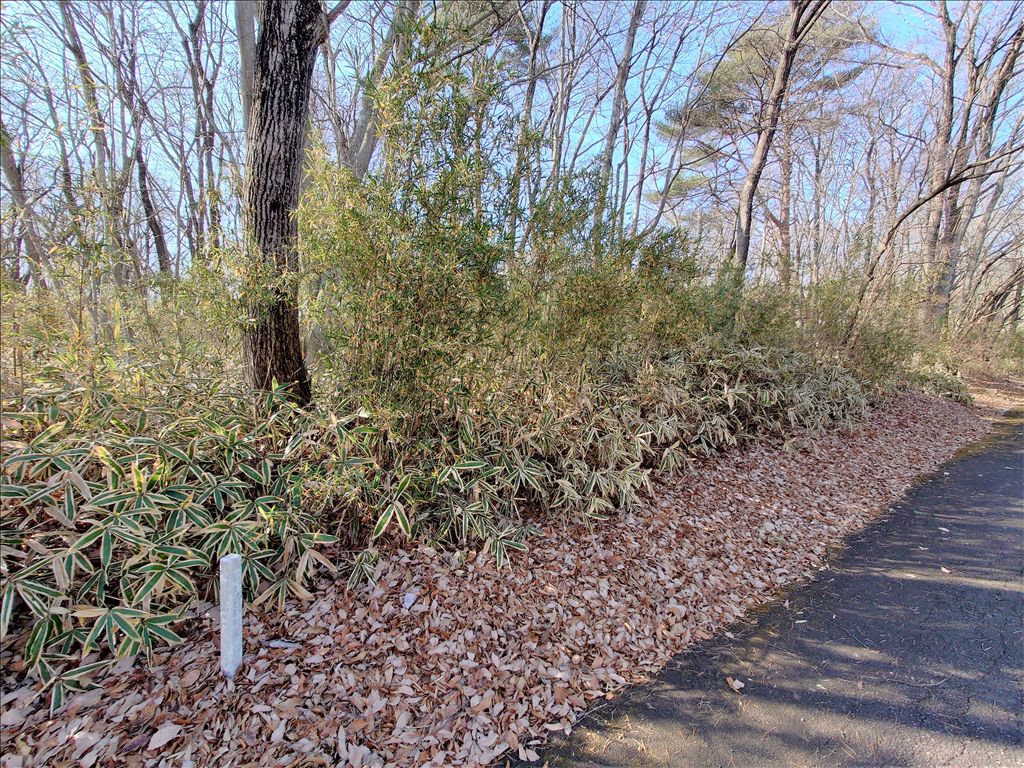Vacant Land for Sale in Royal Valley East, Nasu Resort - Thumbnail 2