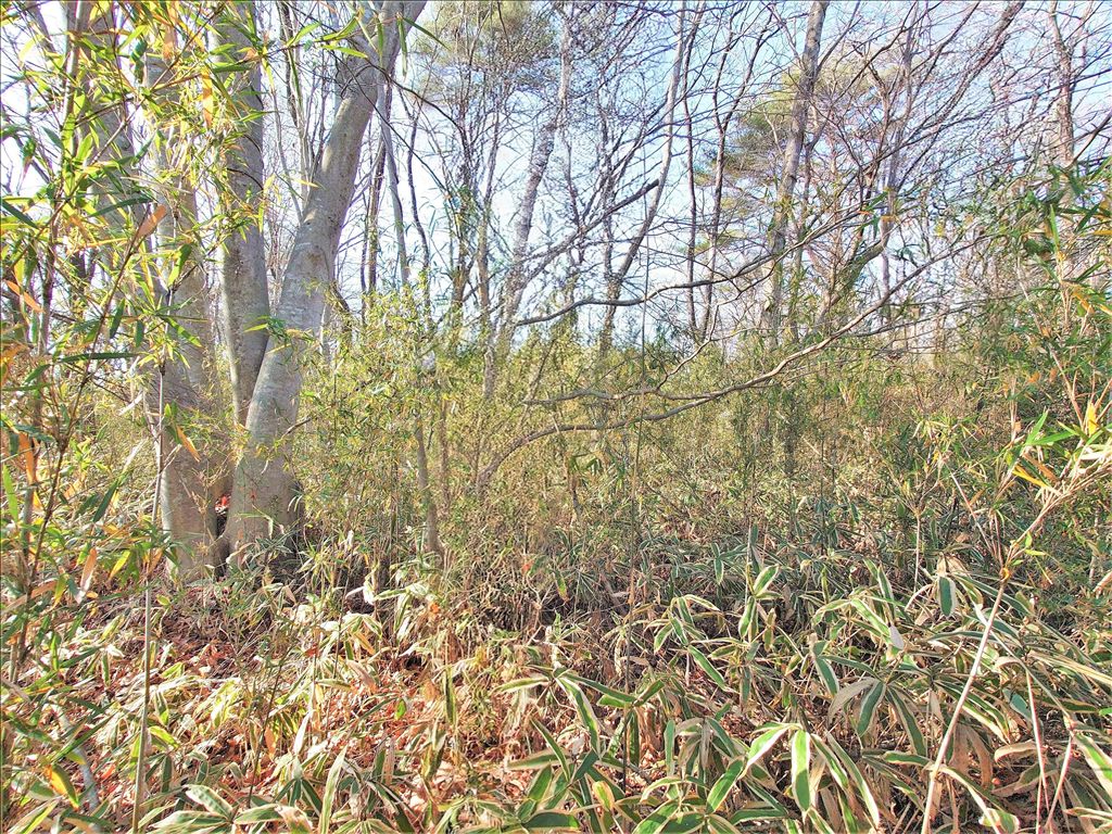 Vacant Land for Sale in Royal Valley East, Nasu Resort - Thumbnail 4