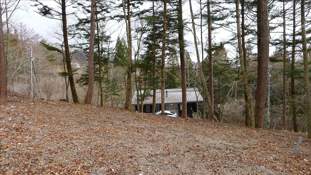Forest Land for Sale in Old Karuizawa, Nagano - Thumbnail 3