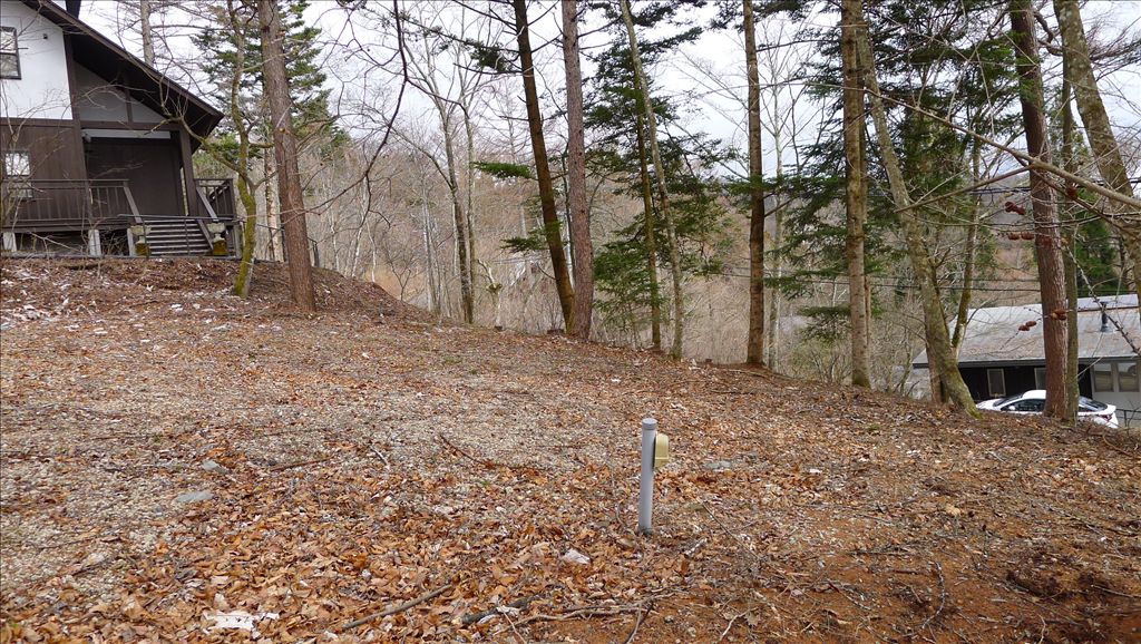 Forest Land for Sale in Old Karuizawa, Nagano - Thumbnail 2