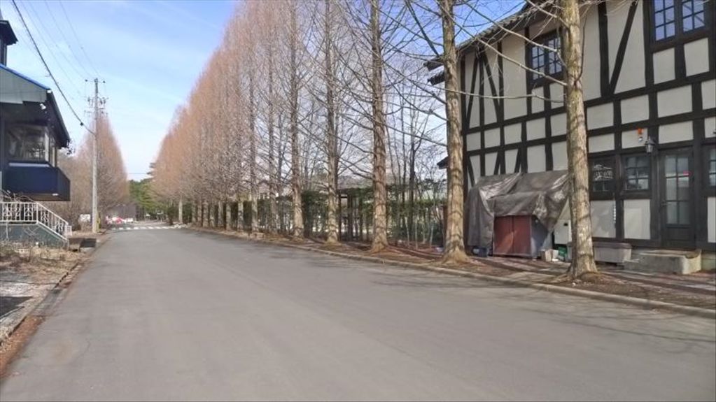 Karuizawa Lake New Town Land for Villa Construction - 491m² - Thumbnail 2