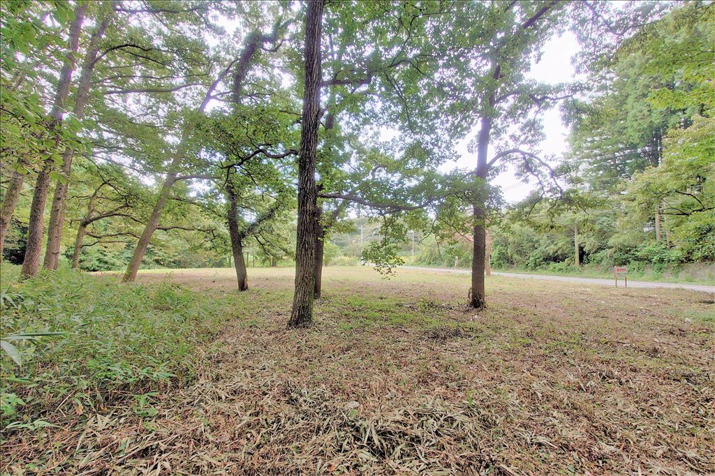 1511 Tsubo Land for Sale Adjacent to Nasu Highland Rindō Lake Family Ranch - Thumbnail 2