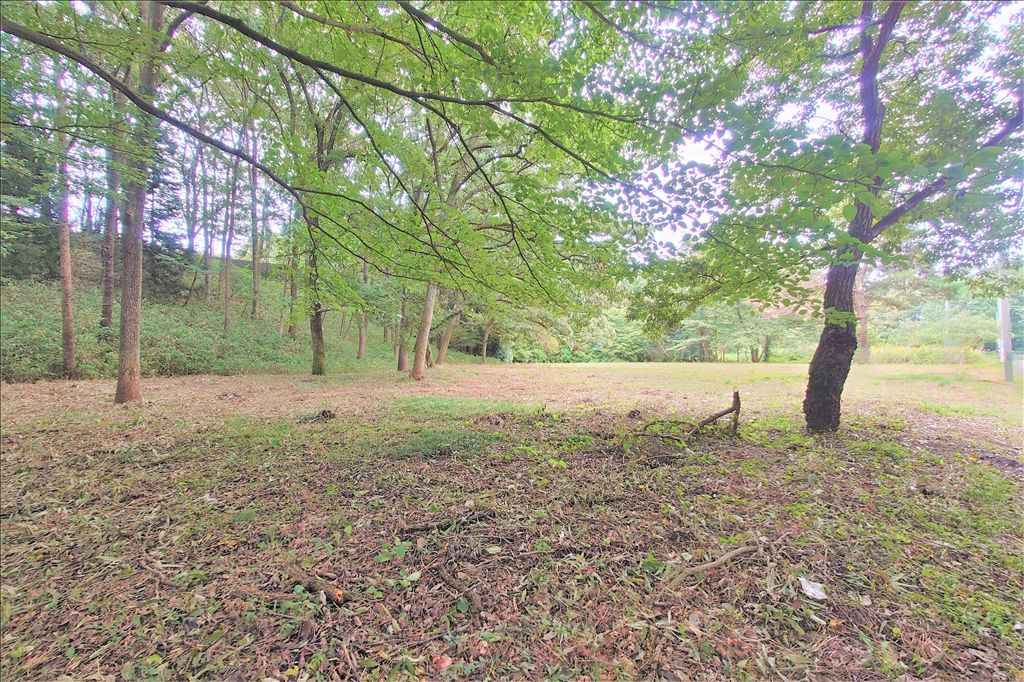 1511 Tsubo Land for Sale Adjacent to Nasu Highland Rindō Lake Family Ranch - Thumbnail 3