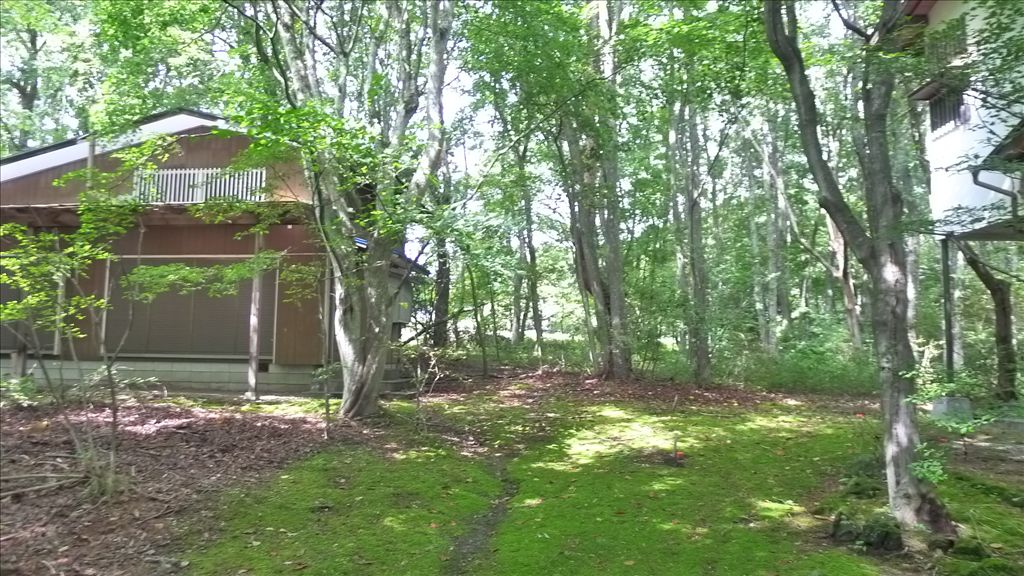 Large Flat Land with Old House in Karuizawa Nagakura Area - Thumbnail 3