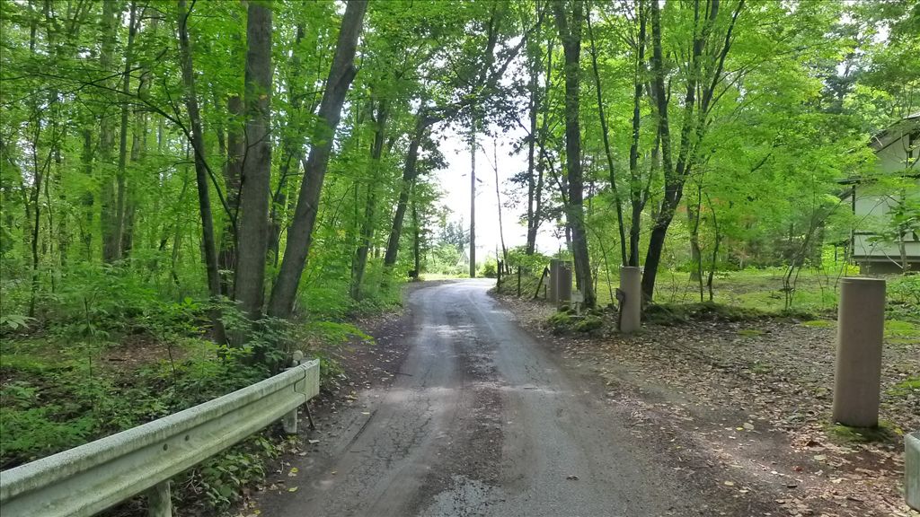 Large Flat Land with Old House in Karuizawa Nagakura Area - Thumbnail 4