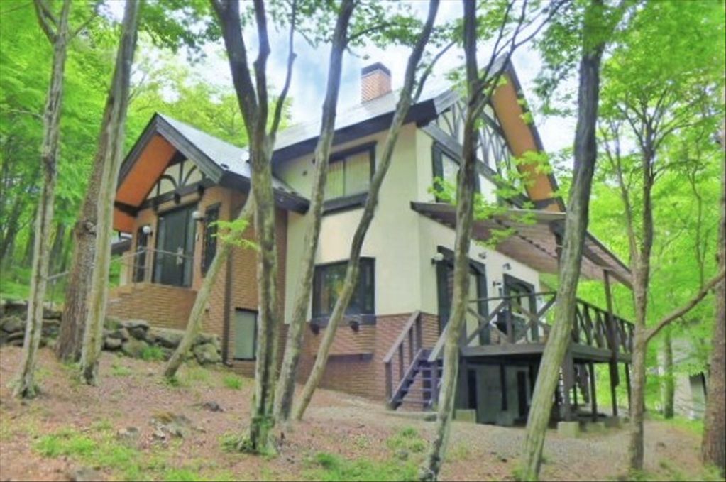 Nasu Highland 4LDK Villa with Lounge & Onsen Potential | Tochigi - Thumbnail 4