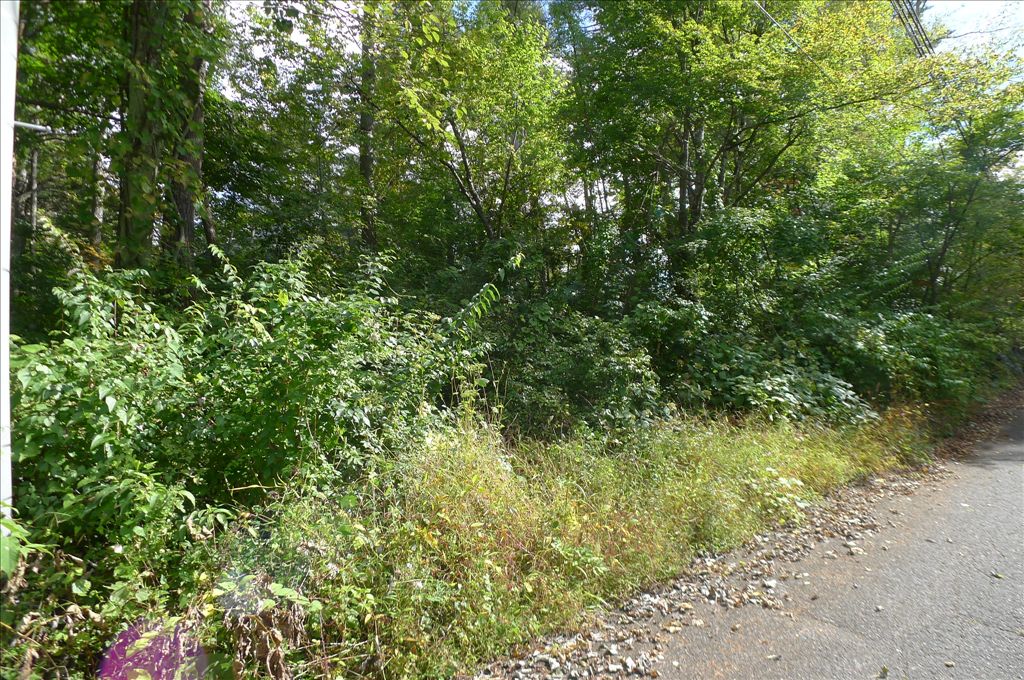 Land for Sale in Fuji Sakura Heights Villa District, Yamanashi - Thumbnail 3