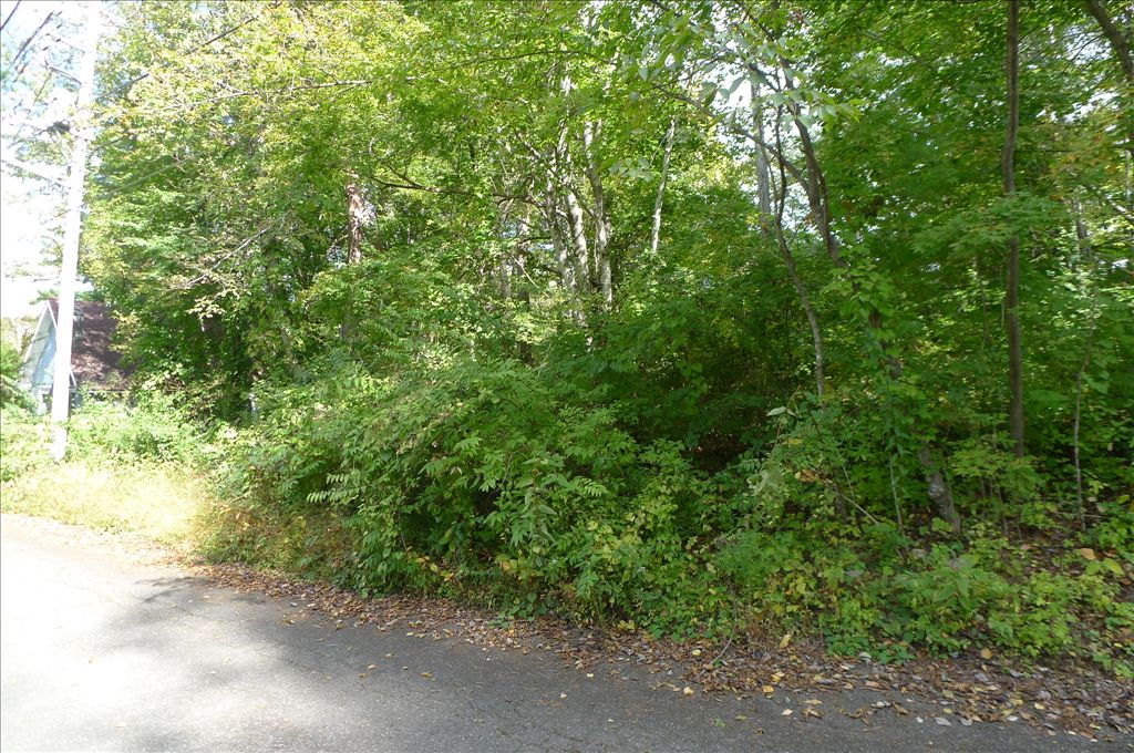 Land for Sale in Fuji Sakura Heights Villa District, Yamanashi - Thumbnail 4