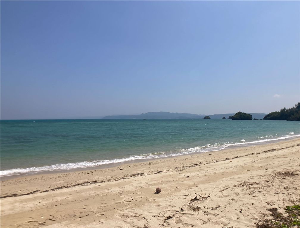 Land for Sale in Nago, Okinawa - 1289sqm Near Saiide Beach - Thumbnail 4