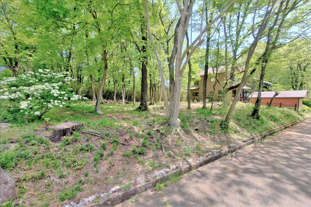 Royal Valley West Land for Sale in Nasu Highlands, Tochigi - Thumbnail 2