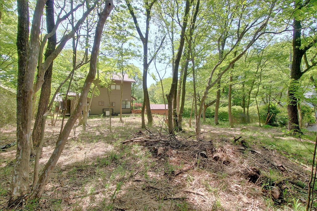 Royal Valley West Land for Sale in Nasu Highlands, Tochigi - Thumbnail 4