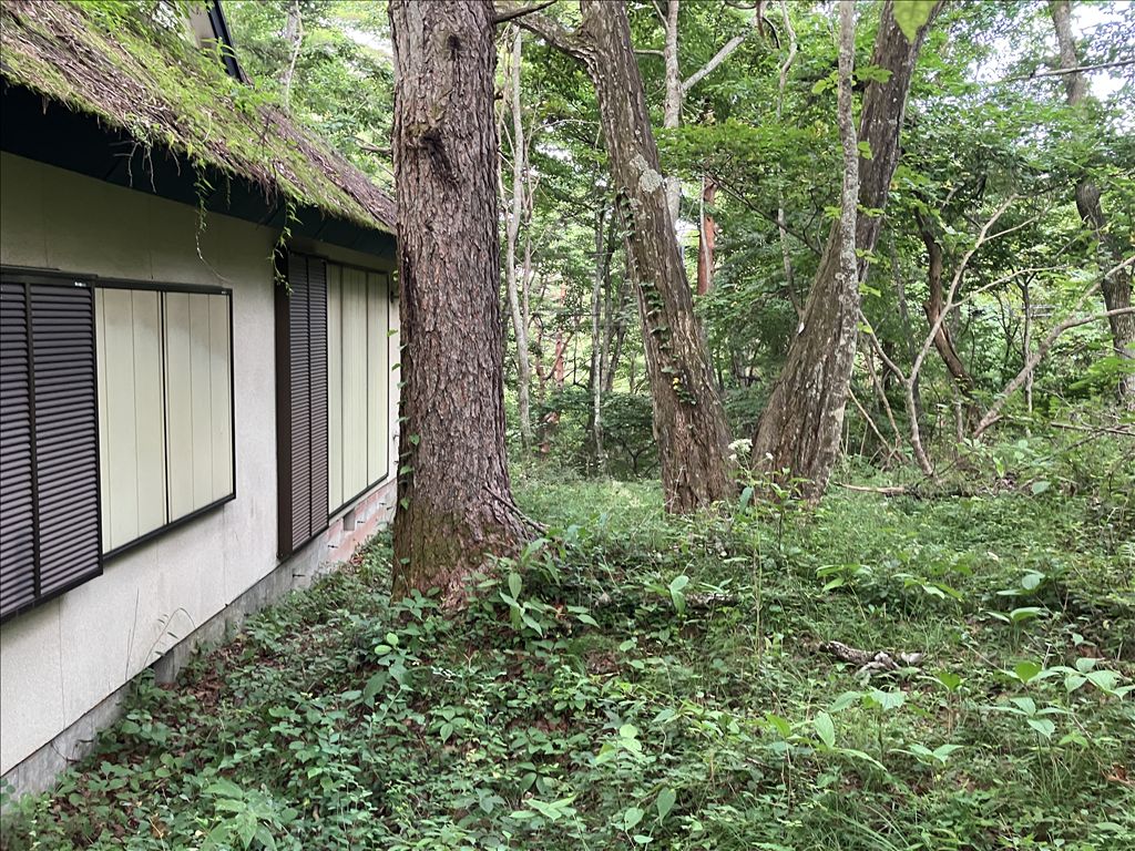 Fuji Sakura Heights Villa Plot with House for Sale in Yamanashi - Thumbnail 2