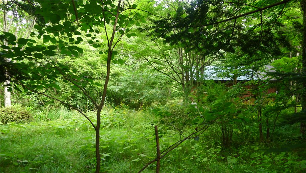 Karuisawa Land with Old House for Sale in Nagakura Area - Thumbnail 2