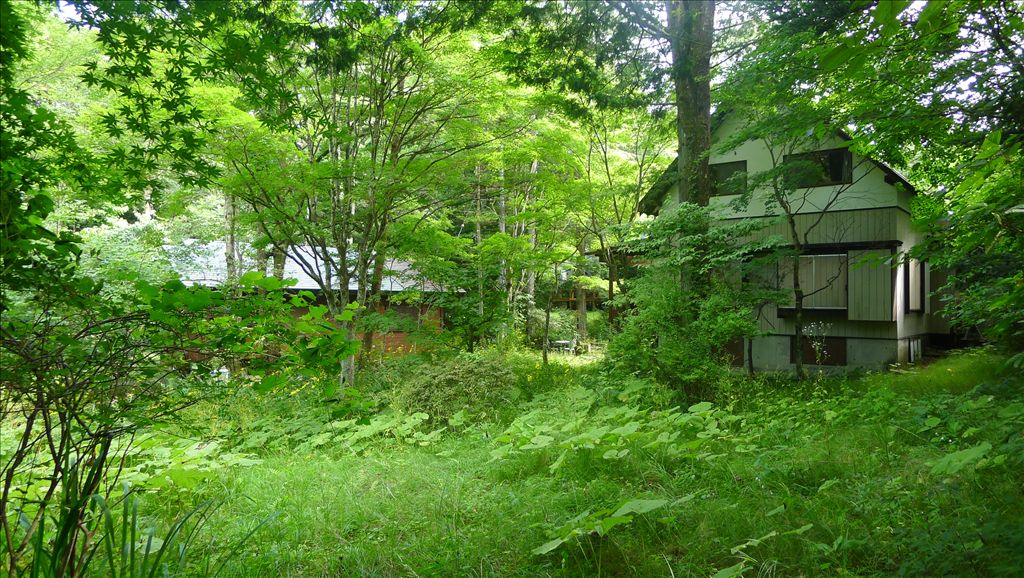 Karuisawa Land with Old House for Sale in Nagakura Area - Thumbnail 3