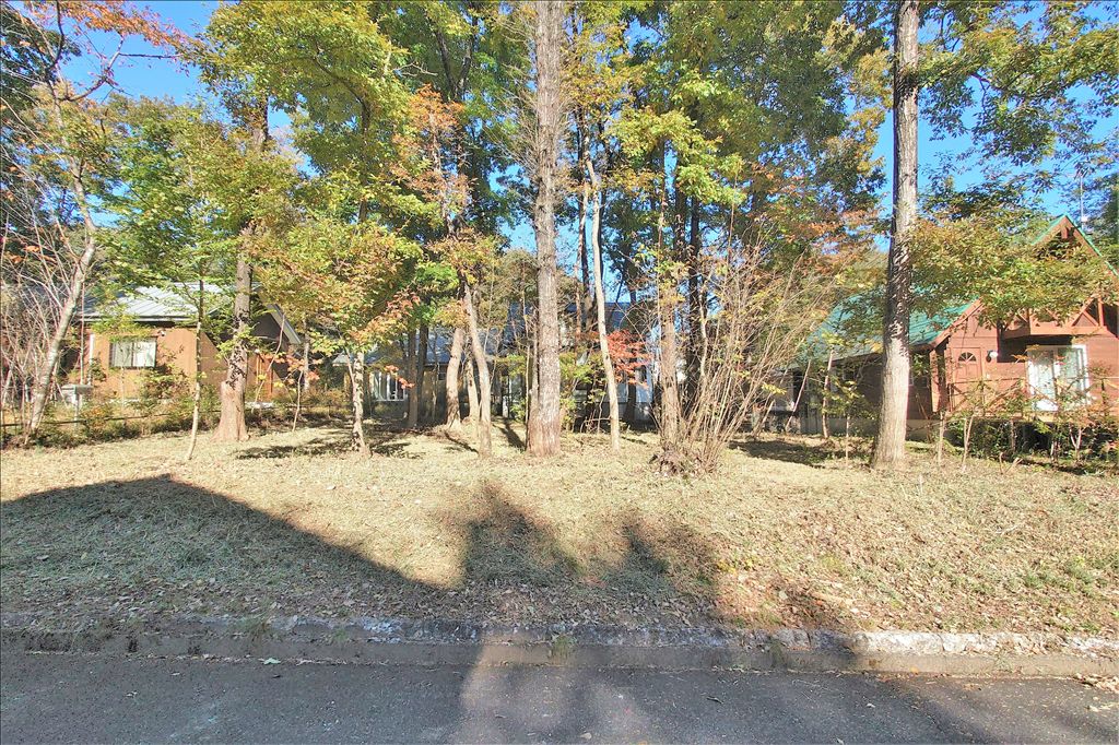 Royal Valley West Land for Sale in Nasu Highlands, Tochigi - Thumbnail 4