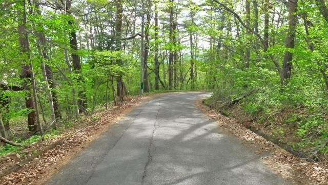 807 sqm Land for Sale in Karuizawa Chigataki Resort Area - Thumbnail 2