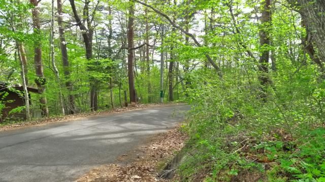 807 sqm Land for Sale in Karuizawa Chigataki Resort Area - Thumbnail 3